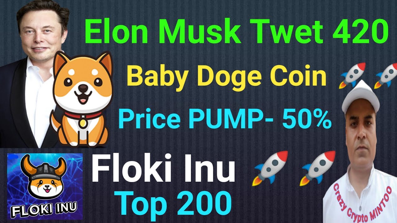 Baby Doge Coin(PUMP)To the Moon Elon Musk ने ट्वीट किया || Floki Inu Update || Crazy Crypto MINTOO