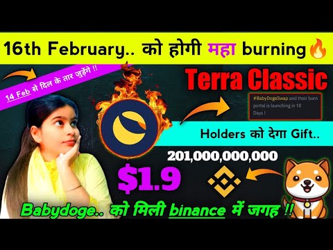 Terra Classic (LUNC) vs BABYDOGE 🚨$1.9 soon🚀 || Binance list || 14 & 16 Feb को महा burn🔥 Crypto news