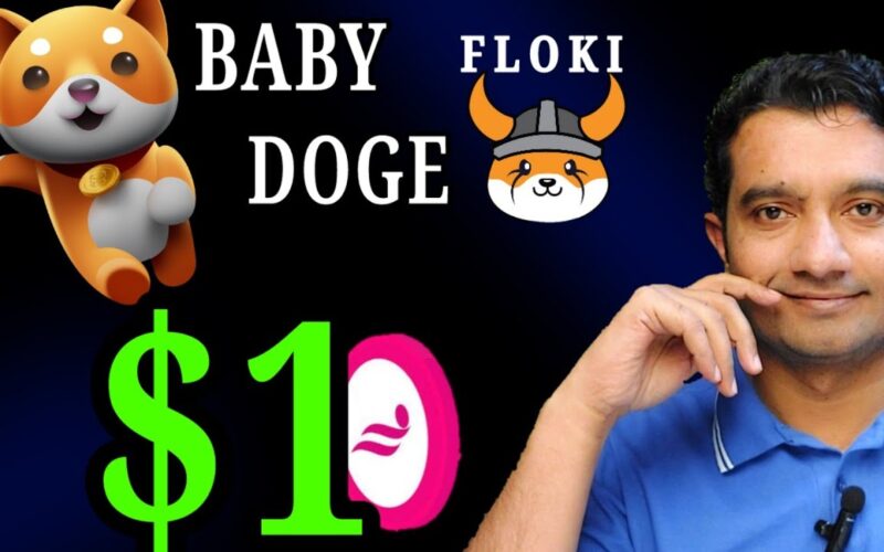 Baby Doge Coin Price Prediction | $1 Soon PBR token | Floki Inu News Today